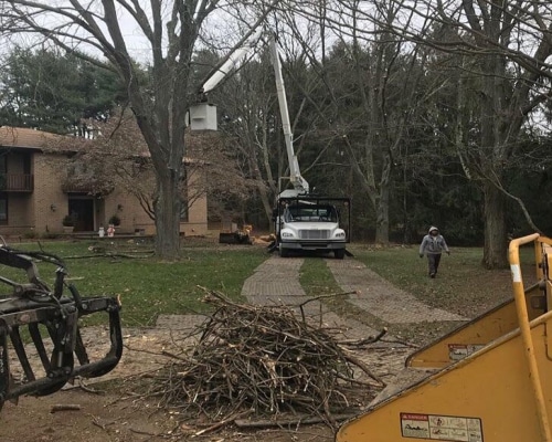 Tree Removal Embreeville PA