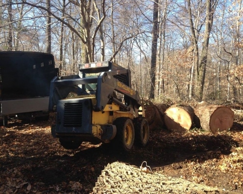 Tree Removal New Castle County DE