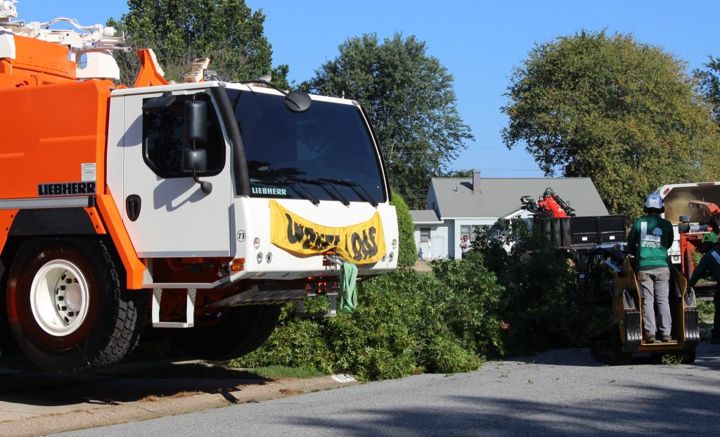 Crane Tree Removal in Arden Delaware