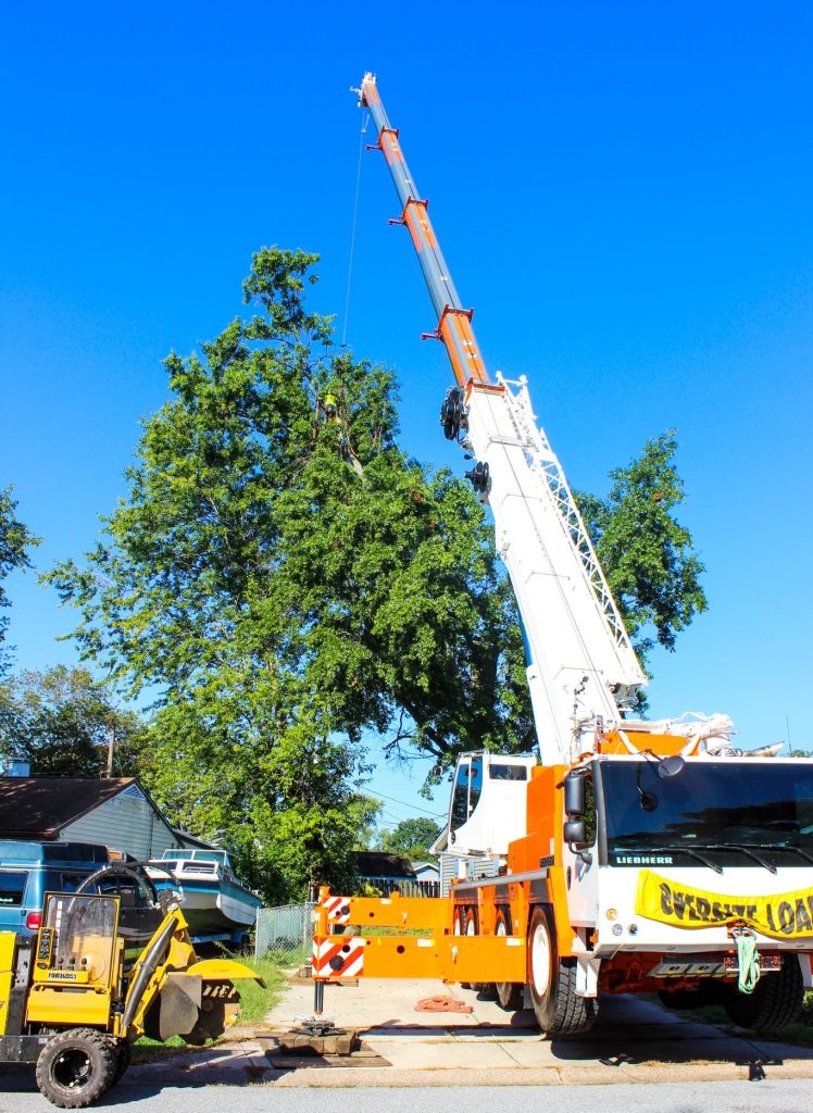 Crane Tree Removal in Embreeville