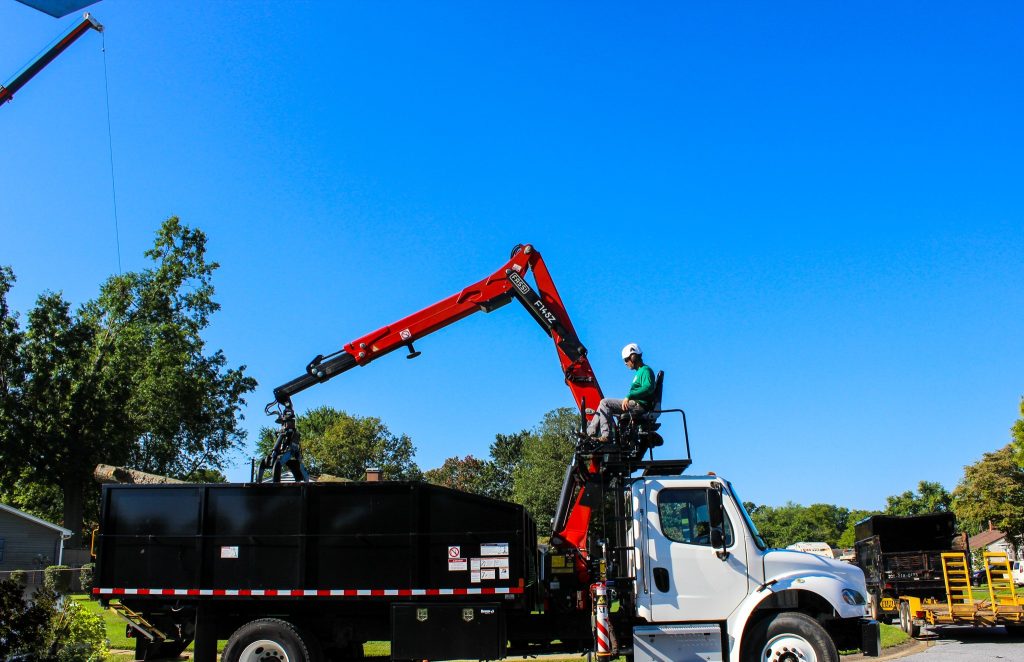 Crane Tree Removal in Newport