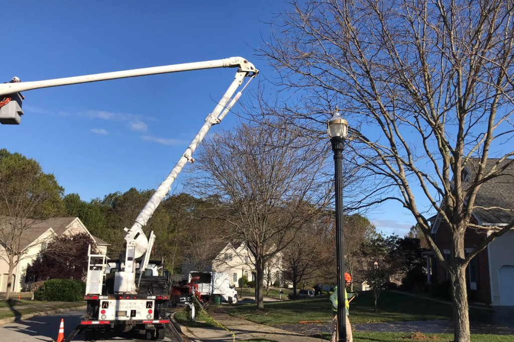 Crane Tree Removal in Upper Providence Township